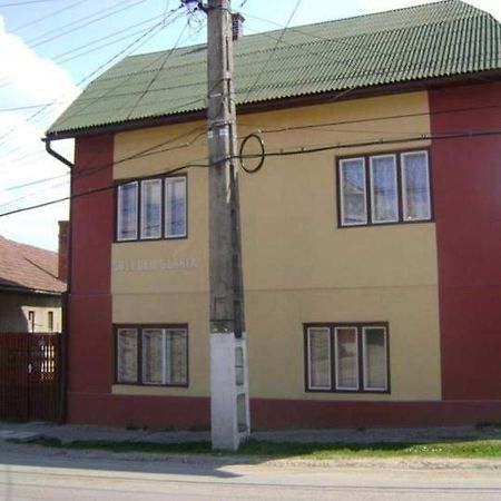 Pensiunea Shalom Sîncraiu Exteriér fotografie